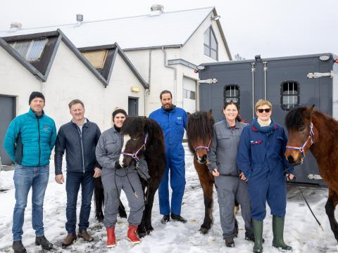 Mynd af rannsakendum sumarexems með bólusetta hesta sem voru fluttir úr landi